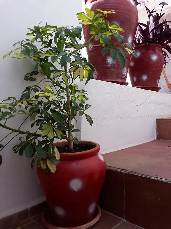 La Cueva Solea Guest House Algodonales Country house